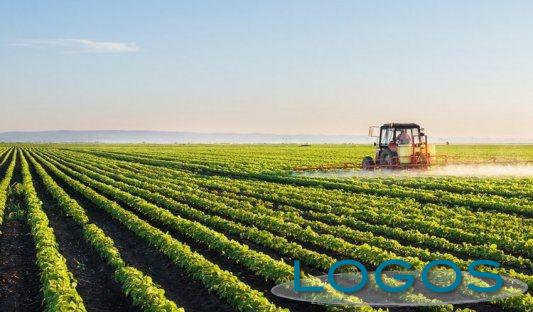 Ambiente - Agricoltura (Foto internet)