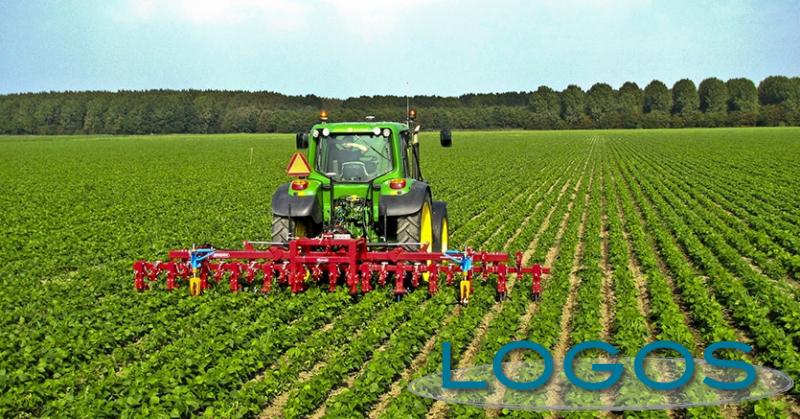 Territorio - Aziende agricole (Foto internet)