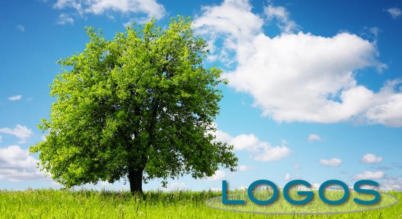 Energia & Ambiente, Solo cose belle