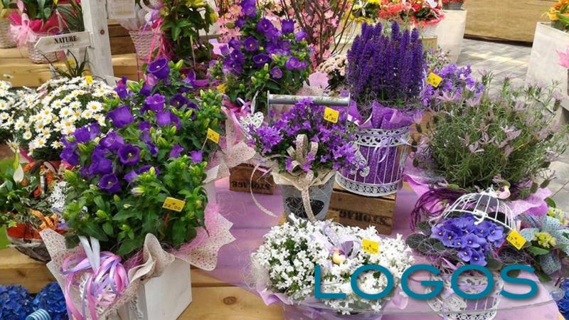 Eventi, Casorezzo, Energia & Ambiente