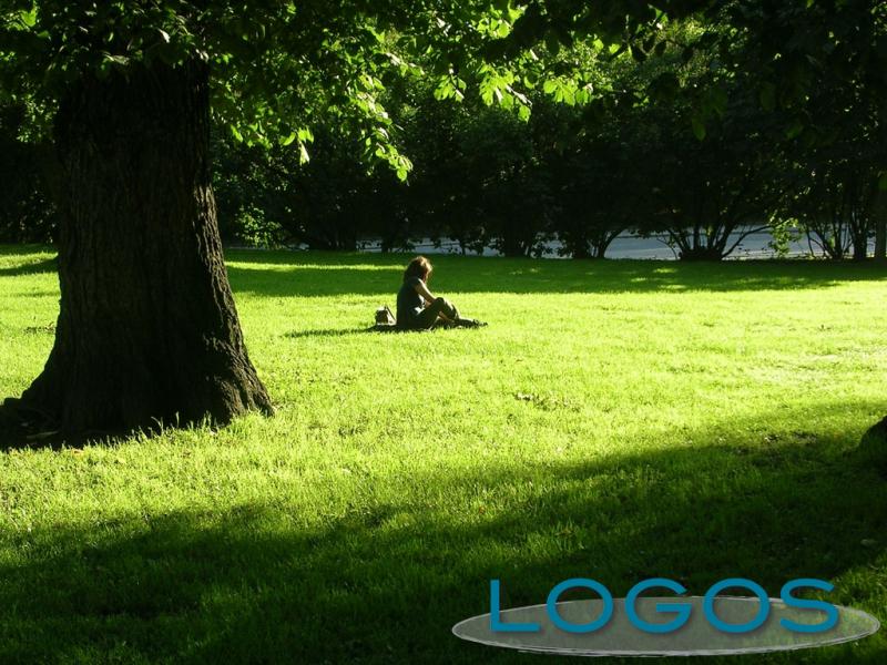 Territorio - Aree verdi (Foto internet)