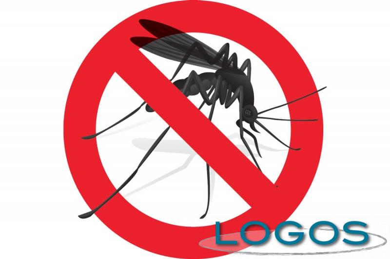 Territorio - Disinfestazione zanzare (Foto internet)