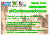 Eventi - #Castanonelcuore 
