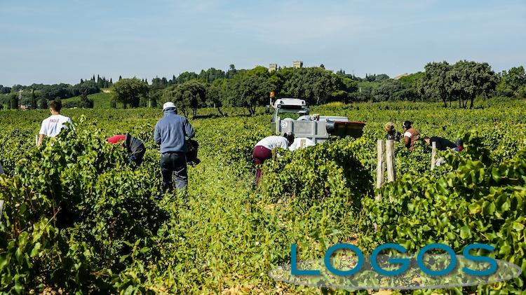Ambiente - Campi (Foto internet)