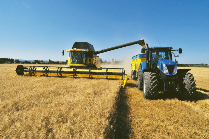 Territorio - Aziende agricole (Foto internet)