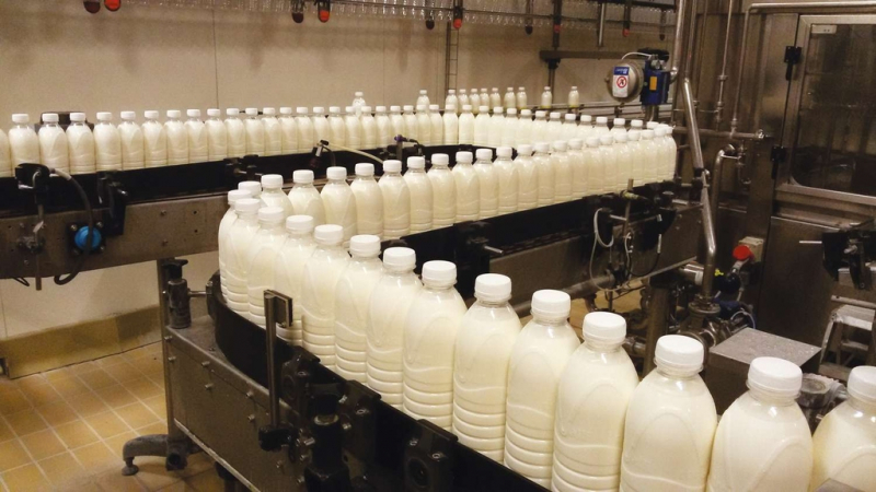 Sapori - Produttori latte (Foto internet)