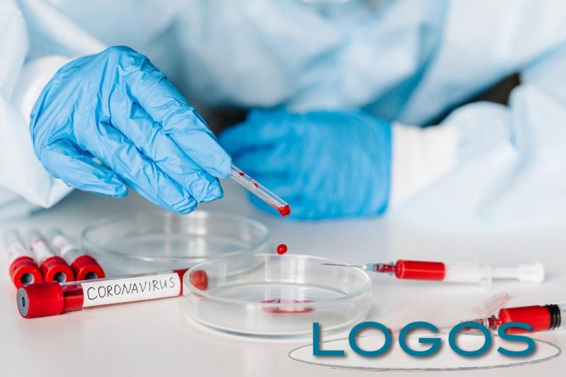 Salute - Screening sierologico Covid (Foto internet) Salute - Screening sierologico Covid (Foto internet)