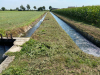 Territorio - Canali di irrigazione