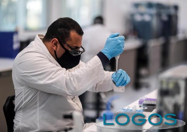 Salute - Test vaccino Covid (Foto internet)