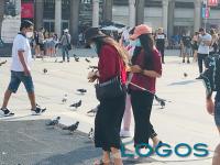 Inchieste - La ripartenza di Milano.3