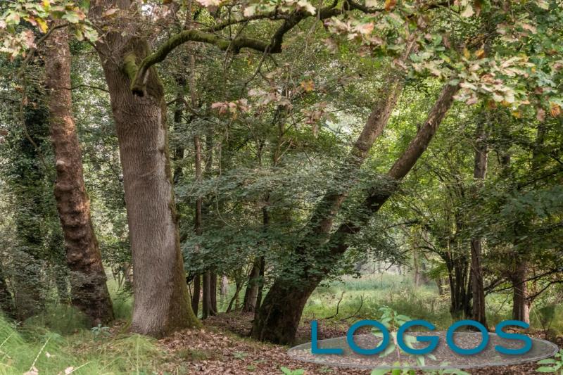 Territorio - Parco del Ticino 