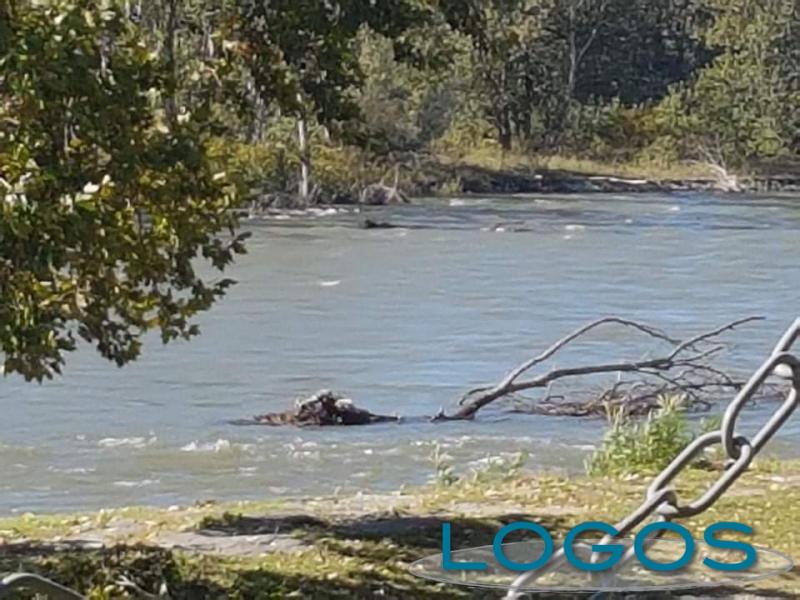 Cuggiono - Ticino: allarme sponde 