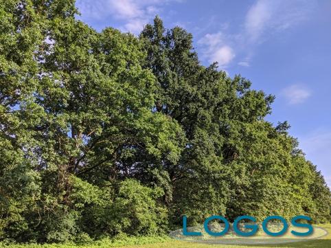 Territorio - Parco Ticino Territorio - Parco Ticino