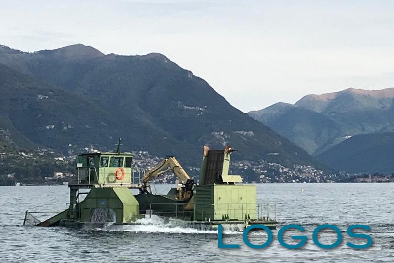 Como - Battelli spazzini Como - Battelli spazzini