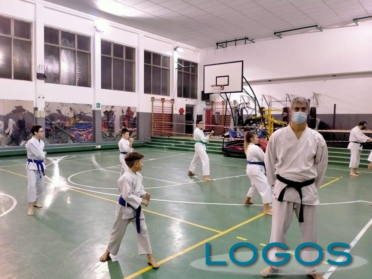 Magenta - ASD Fukai karate