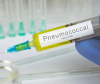 Salute - Vaccini pneumococco (Foto internet)