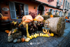 Valle Vigezzo - Fuori di Zucca 2019