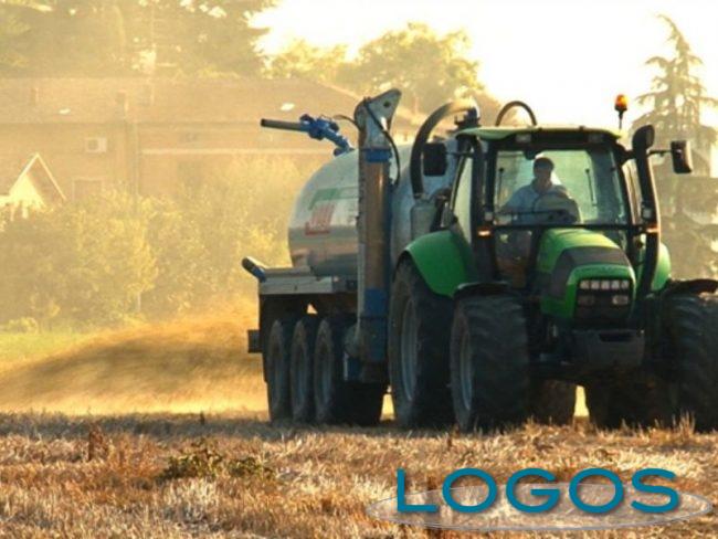 Territorio - Agricoltura (Foto internet) Territorio - Agricoltura (Foto internet)