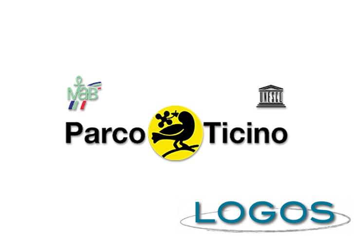 Territorio - Parco del Ticino (Foto internet)