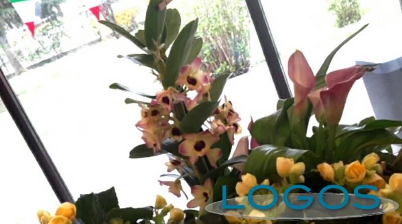 Inveruno / Storie - Compleanno (Foto internet)