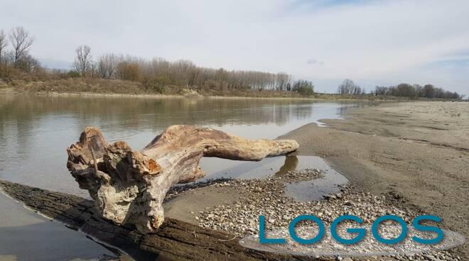 Attualità - Po in secca (Foto internet)