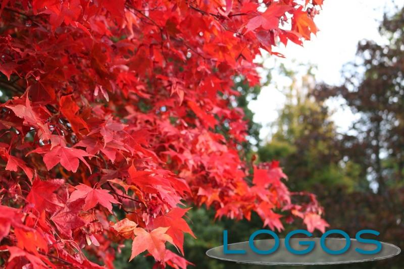 Territorio - Storace (Foto internet)