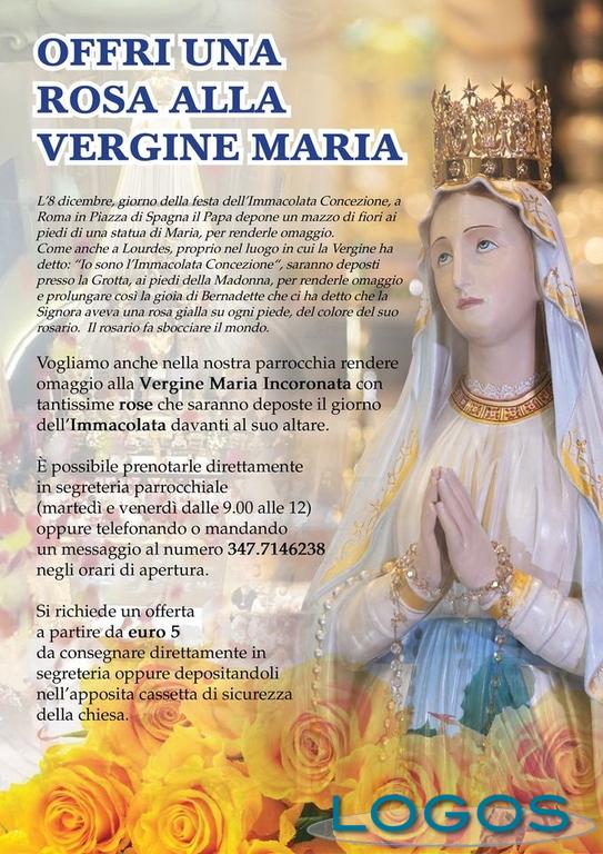 Vanzaghello - Offri una rosa alla Vergine Maria 
