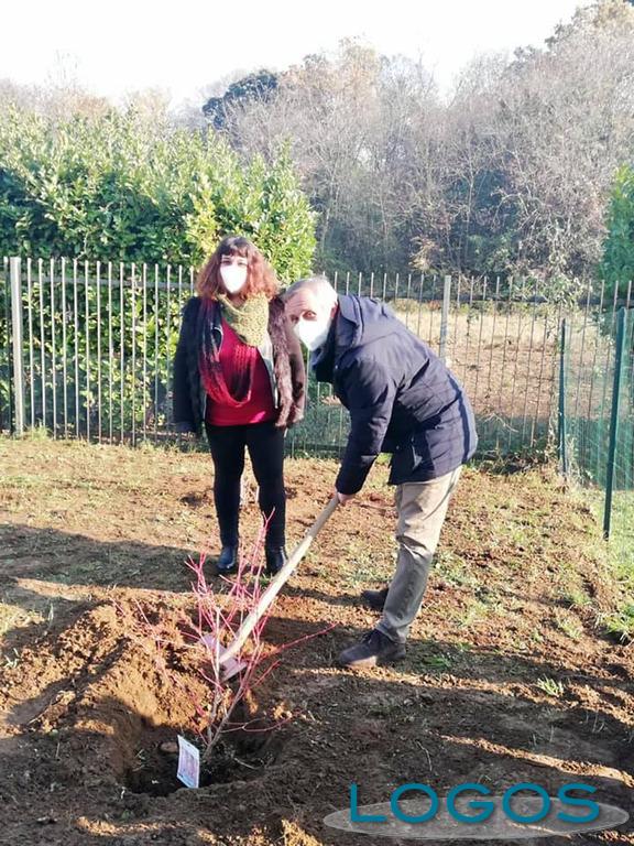 Cuggiono - Rosalba Mangialardi e Giovanni Cucchetti piantano alcune piante