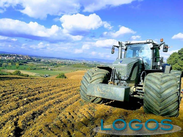 Territorio - Aziende agricole (Foto internet)
