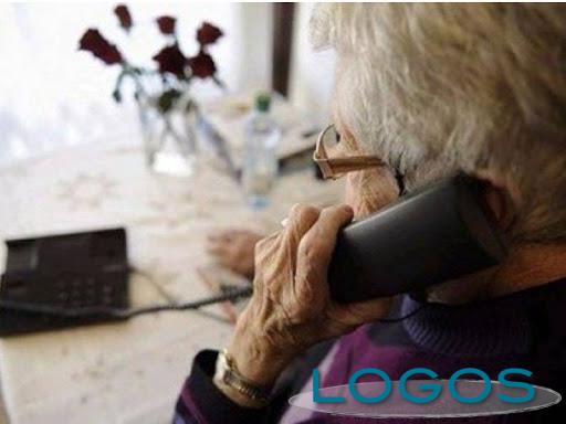 Territorio - Truffe (Foto internet) Territorio - Truffe (Foto internet)