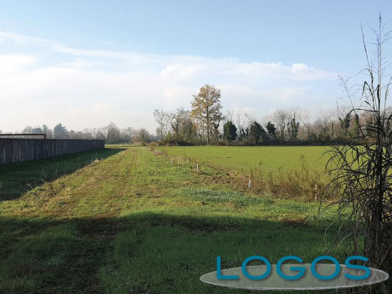 Cuggiono - Area della circonvallazione esterna