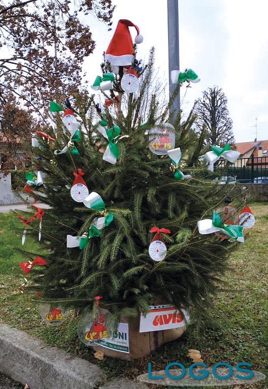 Mesero - Alberi della Pro Loco per il paese 2020