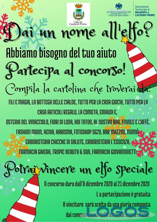 Castano - 'Dai un nome all'elfo?' 