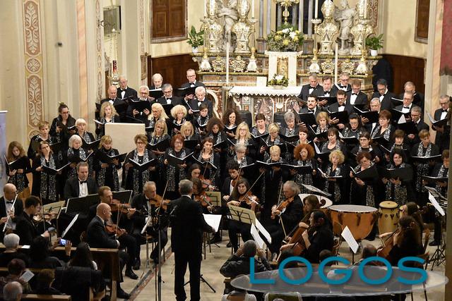 Musica - Ensemble Amadeus