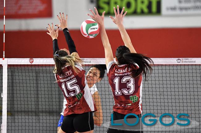 Busto Arsizio, Sport locale