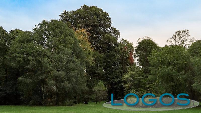 Territorio - Parco (Foto internet)