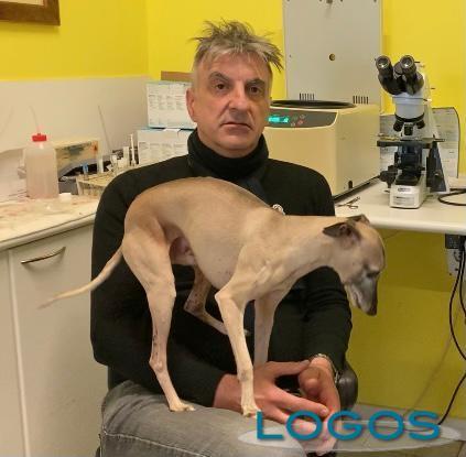 Castano - Il dottor Angelo Anselmi con uno dei suoi cani 