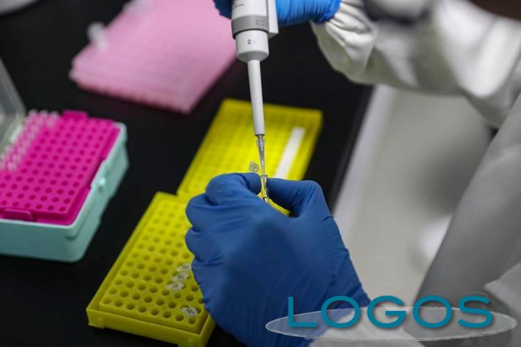 Salute - Anticorpi monoclonali (Foto internet) Salute - Anticorpi monoclonali (Foto internet)