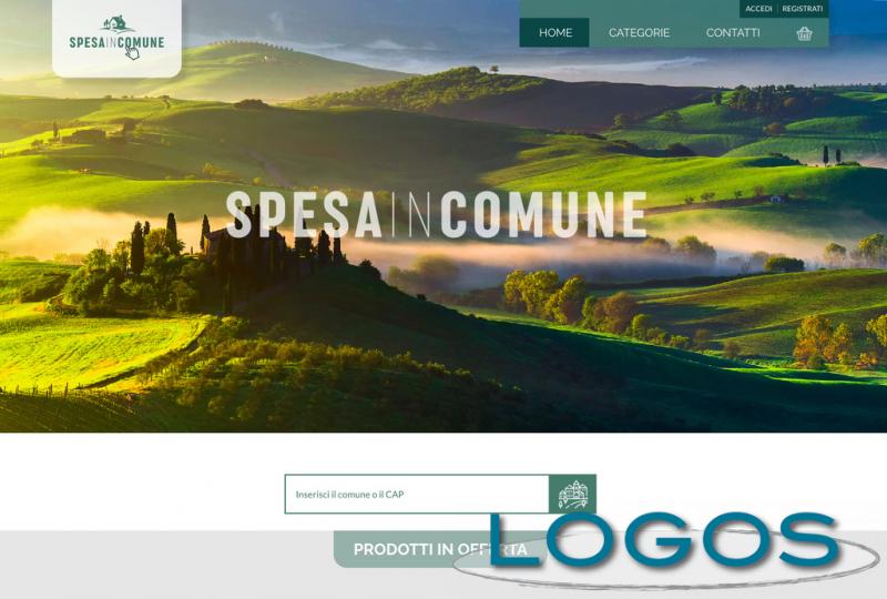 Commercio - Spesa in Comune