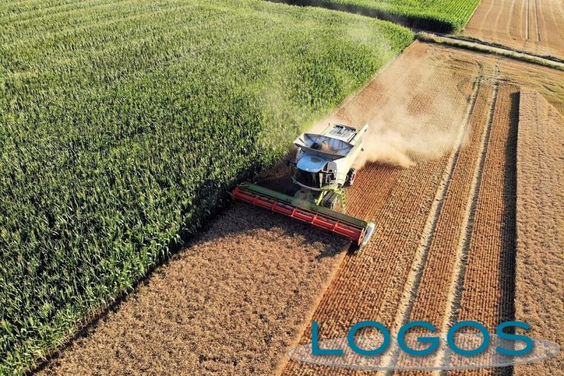 Attualità - Agricoltura (Foto internet) Attualità - Agricoltura (Foto internet)