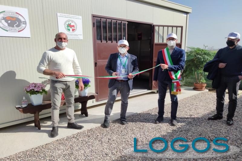 Territorio - Tracciabilità carne bovina 