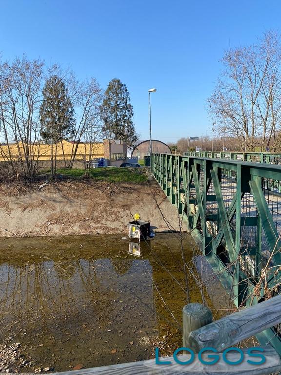 Castano - Cassonetto nel canale Villoresi Castano - Cassonetto nel canale Villoresi