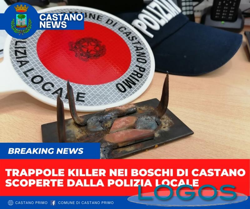 Castano - Rinvenuta nei boschi trappola chiodata Castano - Rinvenuta nei boschi trappola chiodata