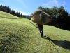 Attualità - Agricoltura di montagna (Foto internet)