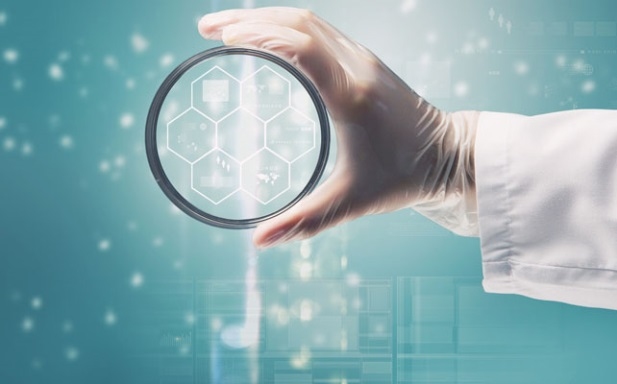 Lente-1.jpg Lente-1.jpg