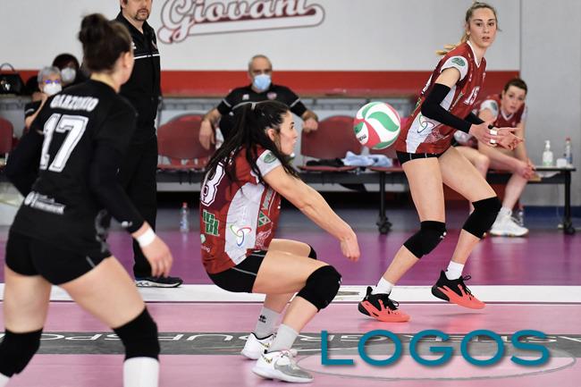 Busto Arsizio, Sport locale