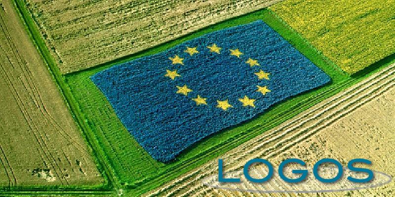 Attualità - Fondi europei agricoltura (Foto internet) Attualità - Fondi europei agricoltura (Foto internet)