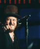 Musica - Zucchero 