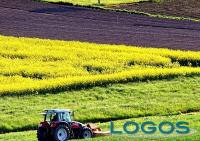 Ambiente - Agricoltura (Foto internet)