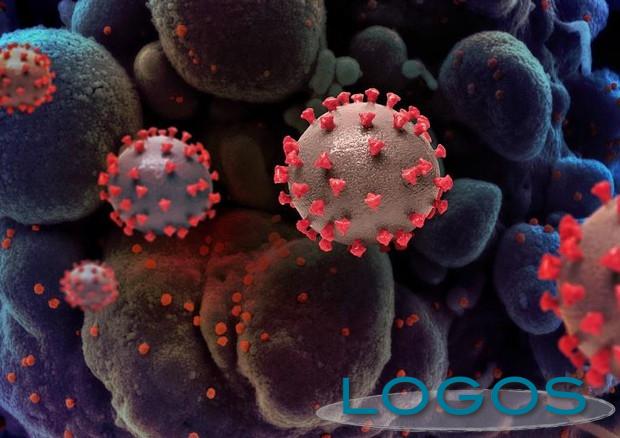 Salute - Covid-19 (Foto internet) Salute - Covid-19 (Foto internet)